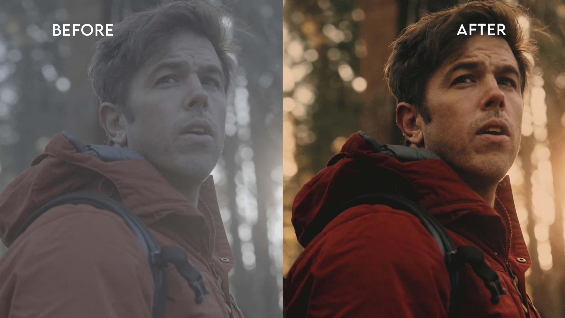 Before and after LUT demo 3